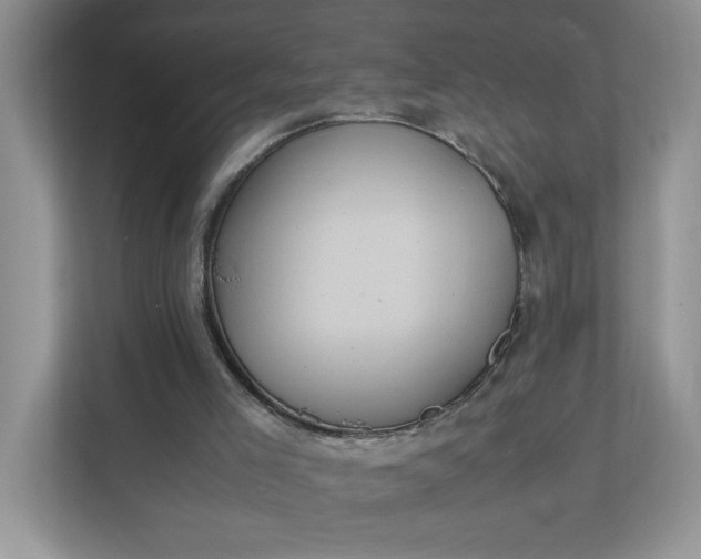 X0000112040005200908171520