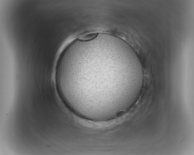 X0000112040006200908171520