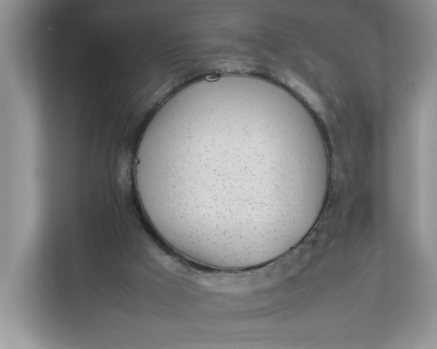 X0000112040009200908171520