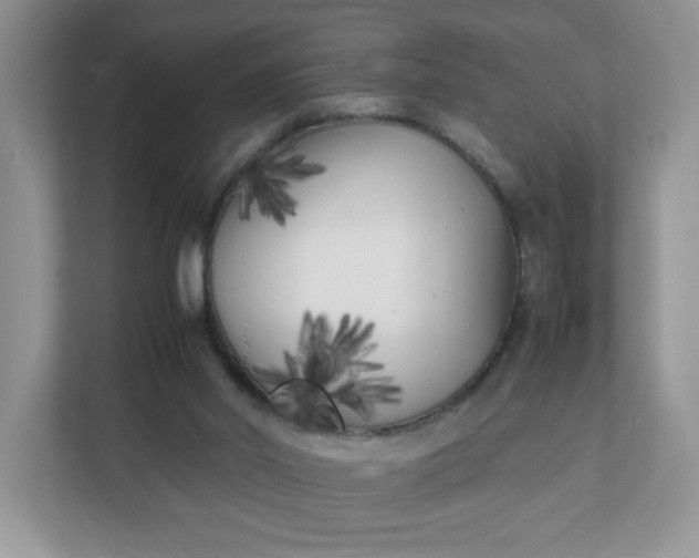 X0000112040014200908171520