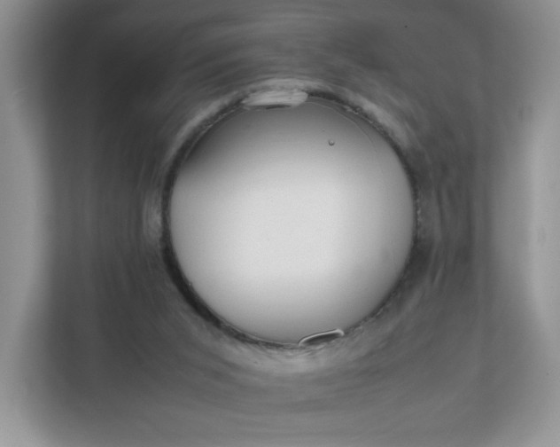 X0000112040015200908171520