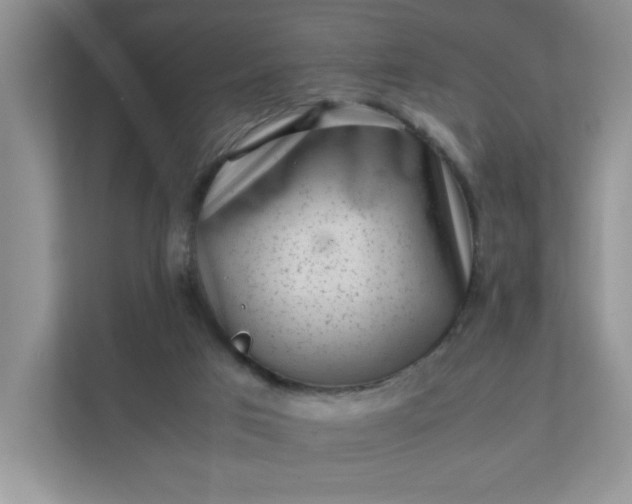X0000112040017200908171520