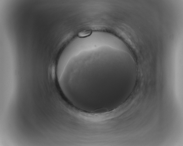 X0000112040019200908171520