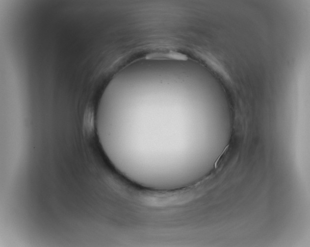 X0000112040021200908171520