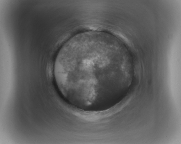 X0000112040023200908171520