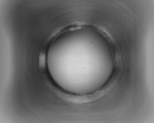 X0000112040024200908171520