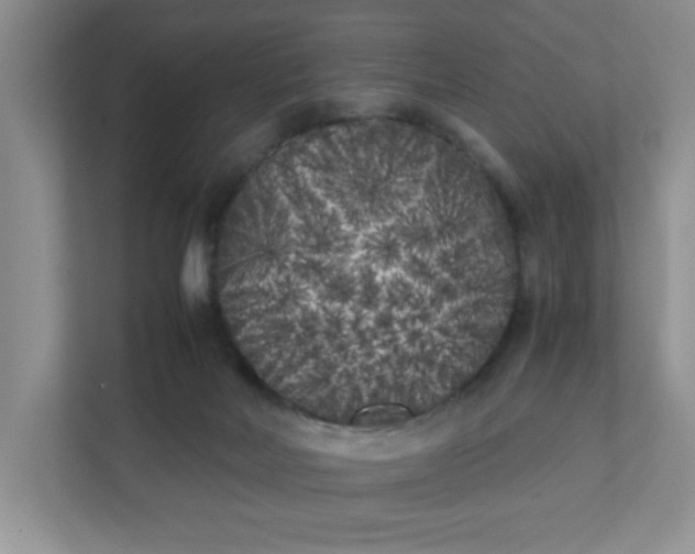 X0000112040026200908171520