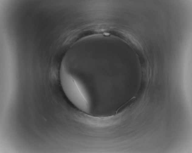 X0000112040035200908171520