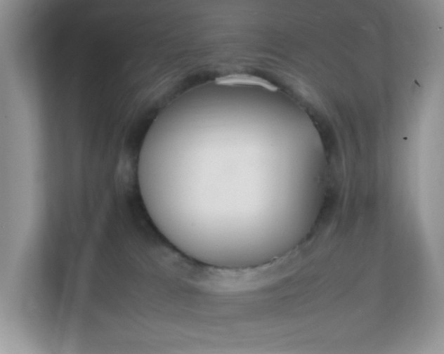 X0000112040037200908171520