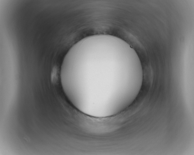 X0000112040038200908171520