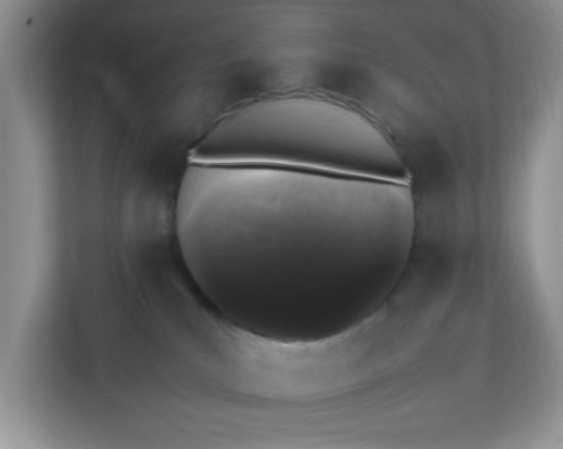 X0000112040039200908171520
