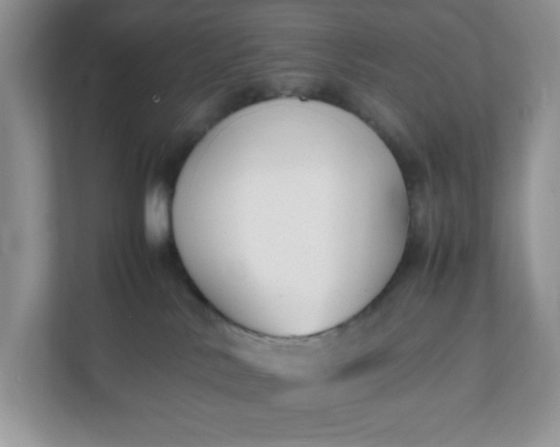 X0000112040042200908171520