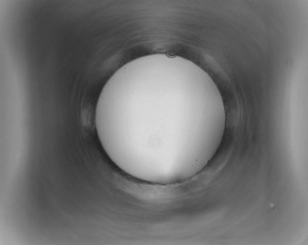 X0000112040044200908171520