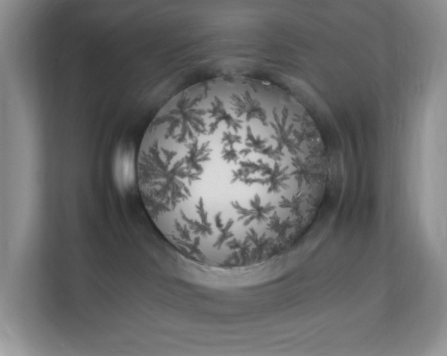 X0000112040046200908171520