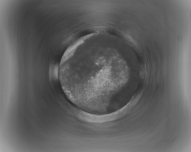 X0000112040047200908171520