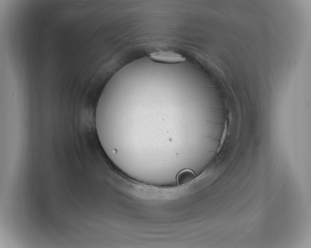 X0000112040048200908171520
