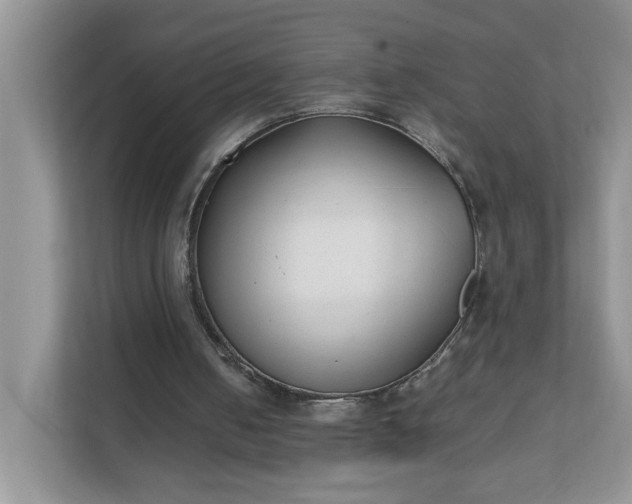 X0000112040050200908171519