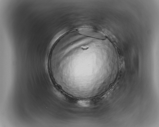 X0000112040051200908171519