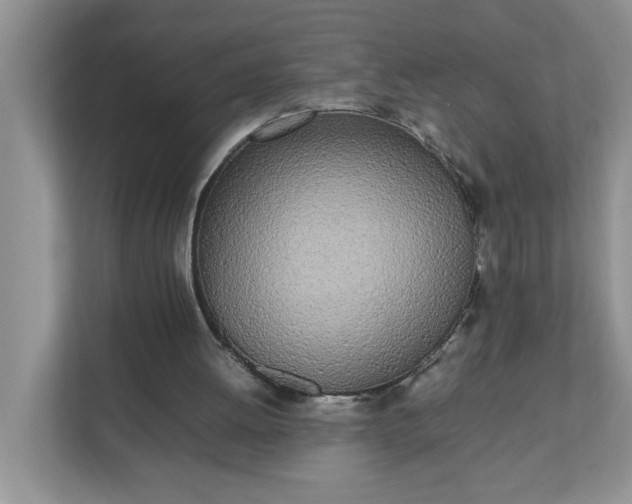 X0000112040052200908171519