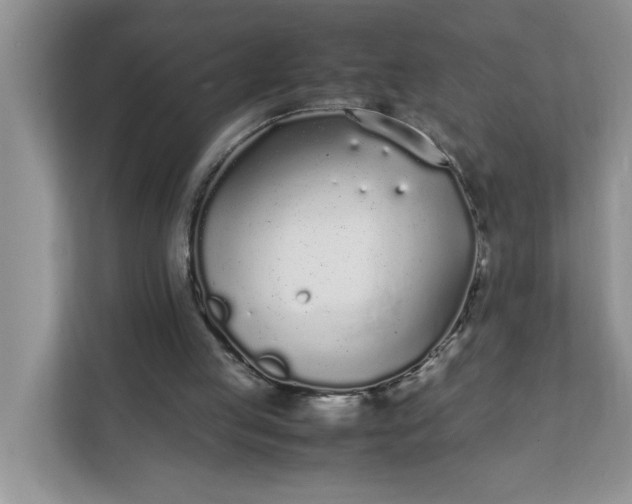 X0000112040053200908171519
