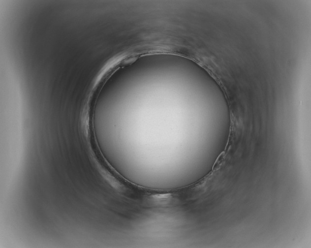 X0000112040054200908171519