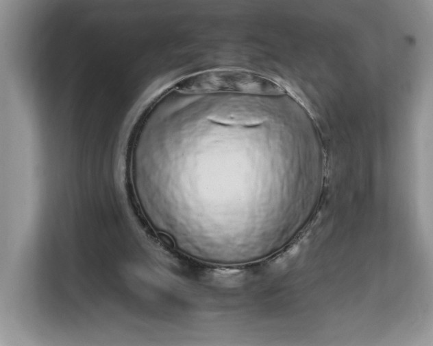 X0000112040055200908171519