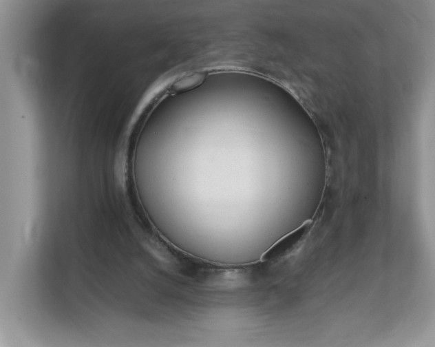 X0000112040056200908171519
