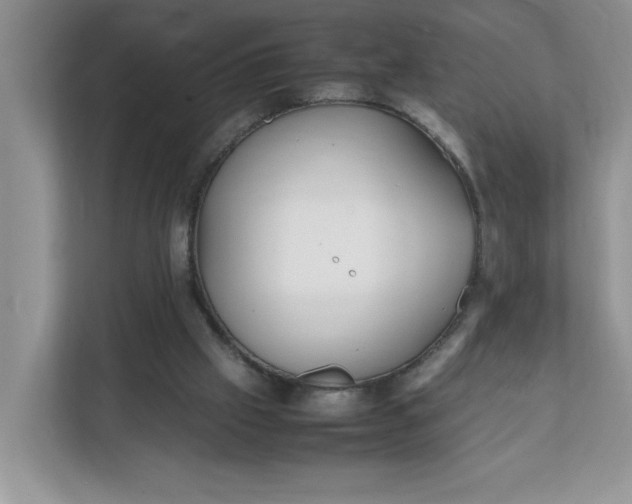 X0000112040057200908171519