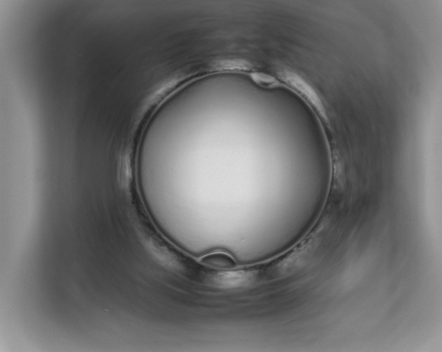 X0000112040059200908171519