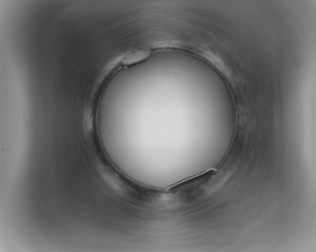 X0000112040060200908171519