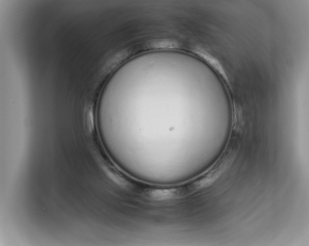 X0000112040061200908171519