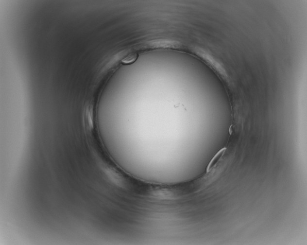X0000112040062200908171519