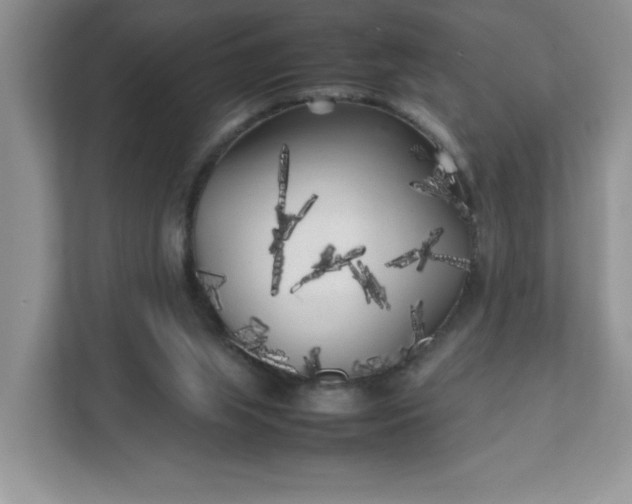 X0000112040063200908171519
