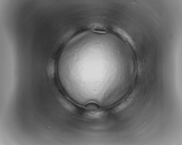 X0000112040065200908171519