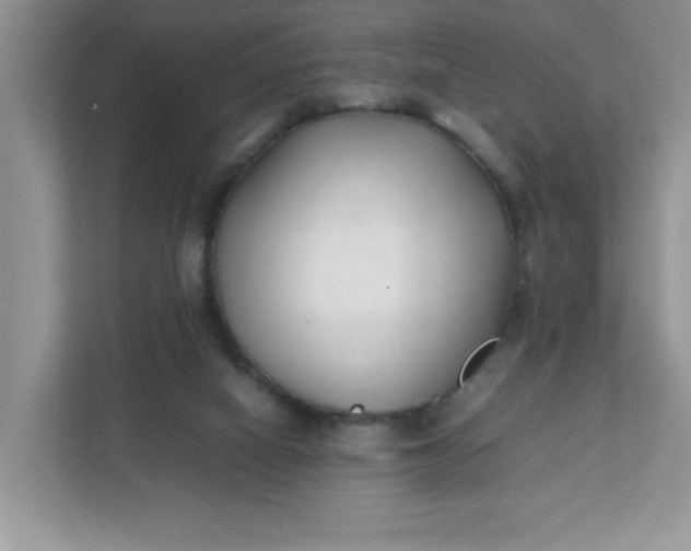 X0000112040066200908171519