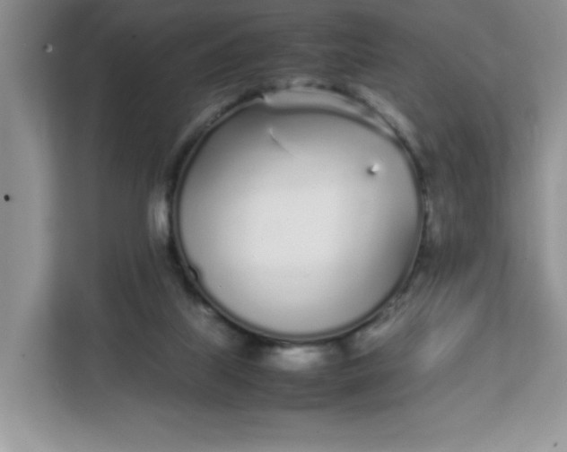 X0000112040067200908171519