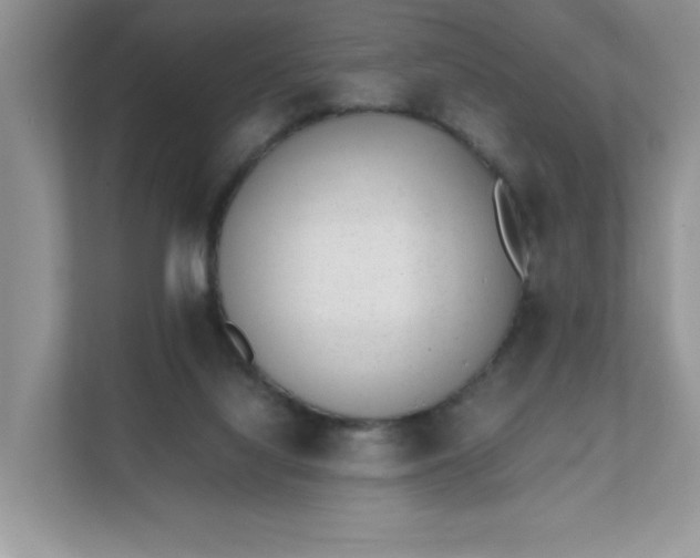 X0000112040068200908171519