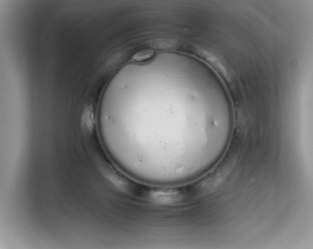 X0000112040069200908171519