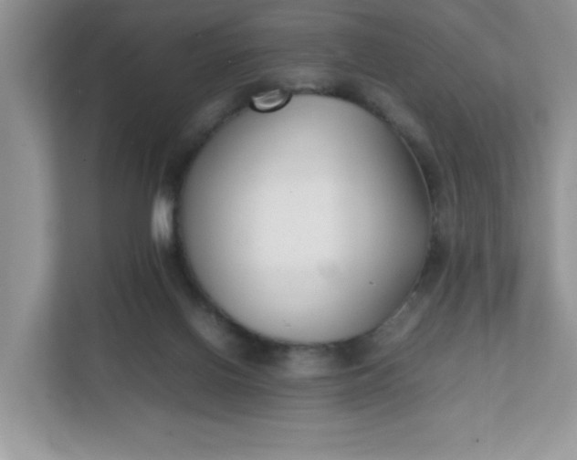 X0000112040070200908171519