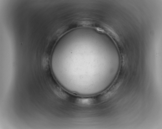X0000112040073200908171519