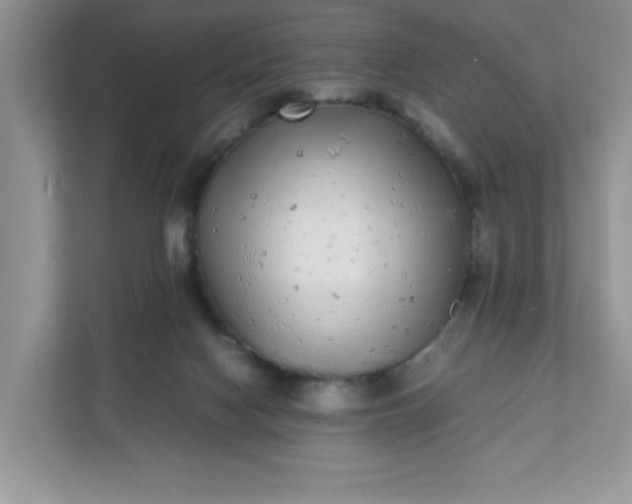 X0000112040074200908171519