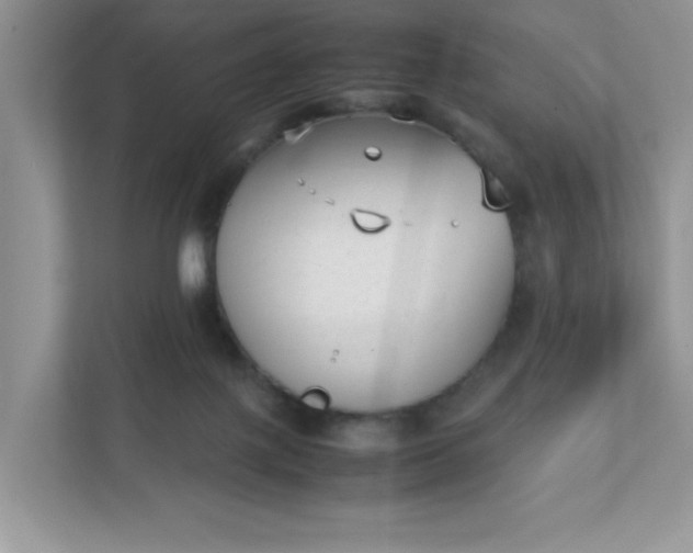 X0000112040075200908171519