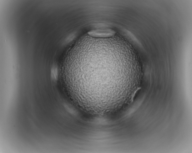 X0000112040076200908171519