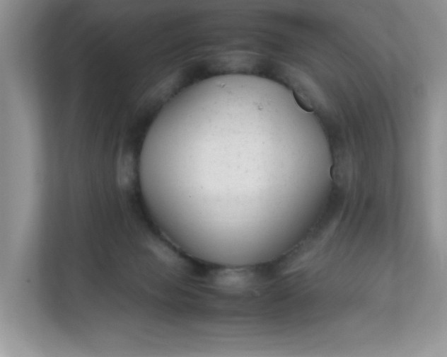 X0000112040077200908171519