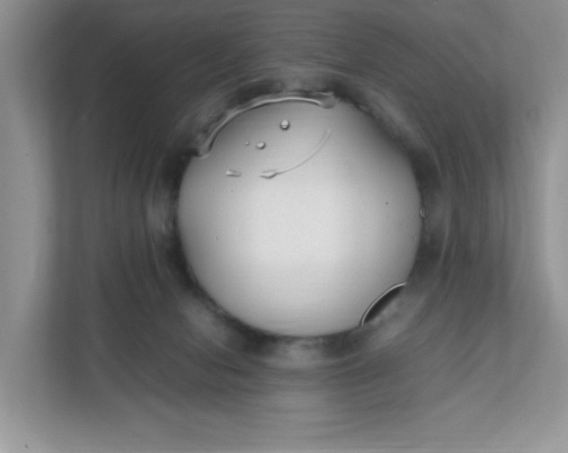 X0000112040078200908171519