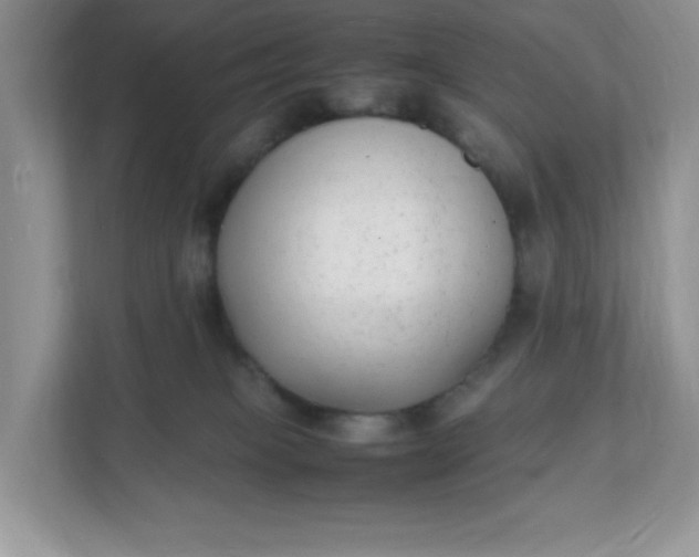 X0000112040085200908171520