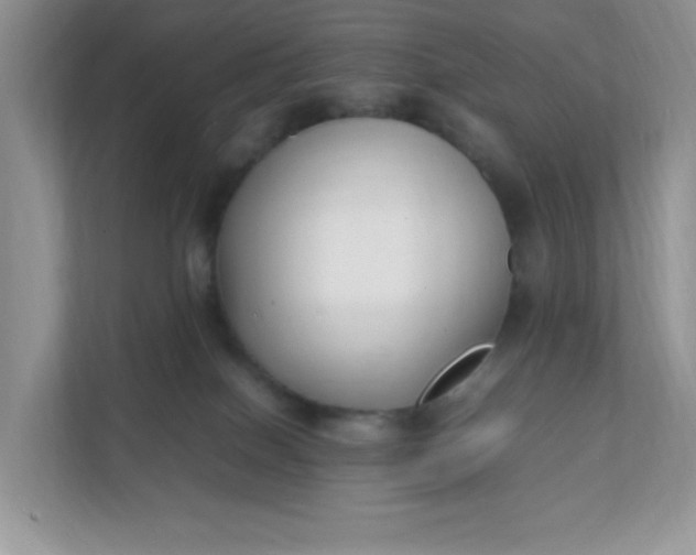 X0000112040086200908171520