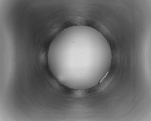 X0000112040088200908171520