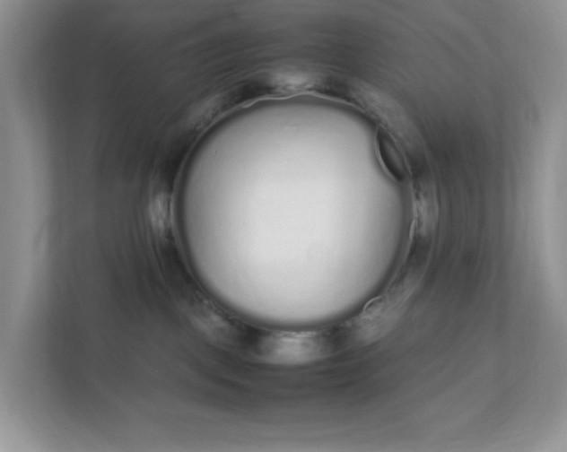X0000112040093200908171520