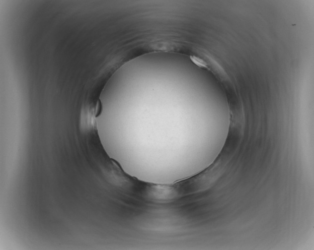 X0000112040095200908171520